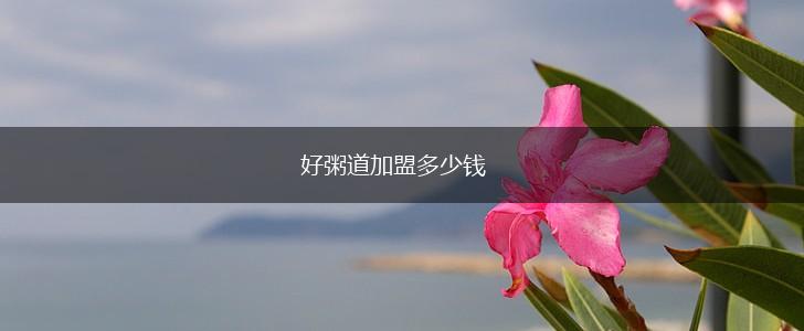 好粥道加盟多少钱,第1张