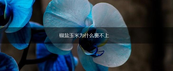 椒盐玉米为什么裹不上,第1张