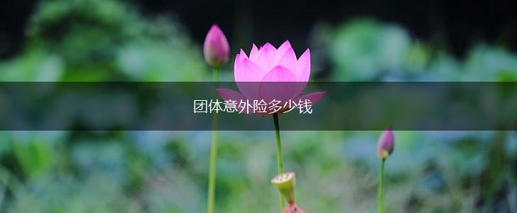 团体意外险多少钱,第1张