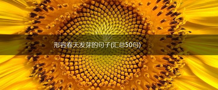 形容春天发芽的句子(汇总50句),第1张