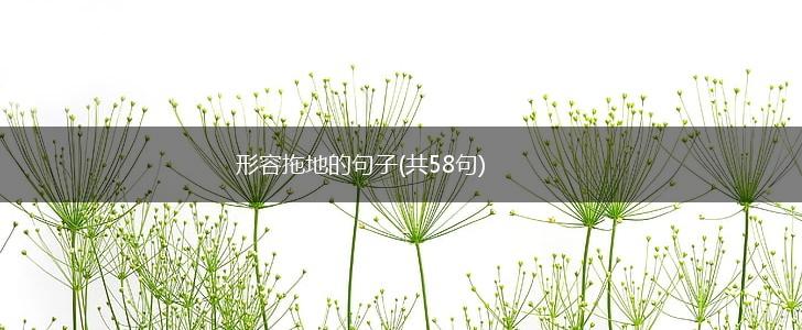 形容拖地的句子(共58句),第1张