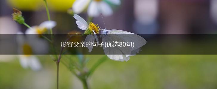 形容父亲的句子(优选80句),第1张