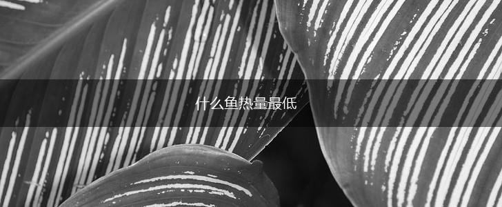 什么鱼热量最低,第1张