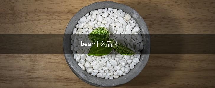 bear什么品牌,第1张