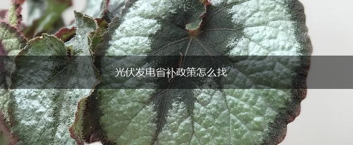 光伏发电省补政策怎么找,第1张