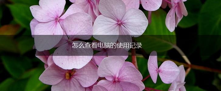 怎么查看电脑的使用记录,第1张