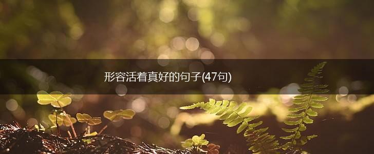 形容活着真好的句子(47句),第1张