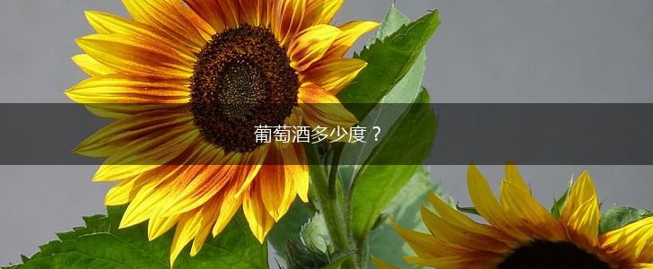 葡萄酒多少度？,第1张