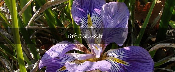 南方沙发怎么样,第1张