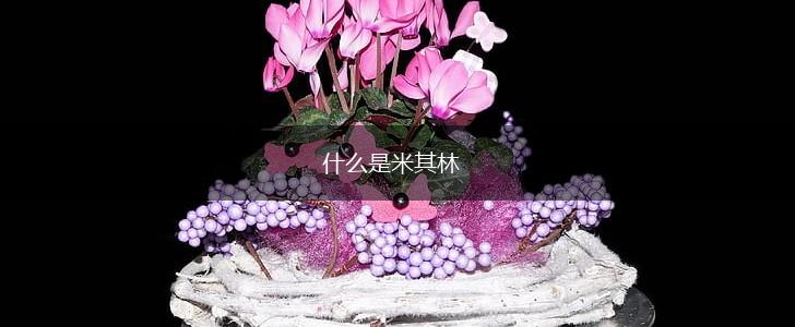 什么是米其林,第1张