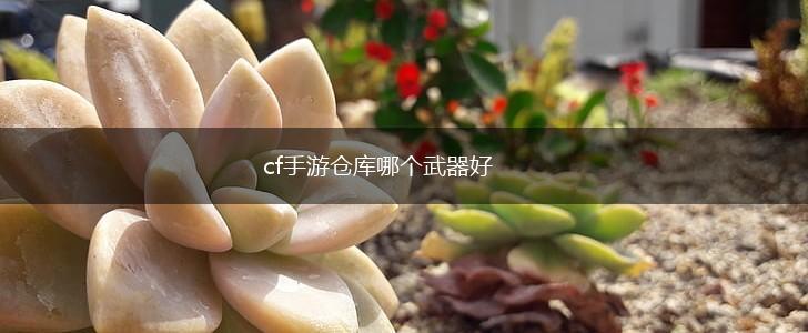 cf手游仓库哪个武器好,第1张