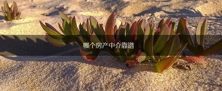 哪个房产中介靠谱,第1张
