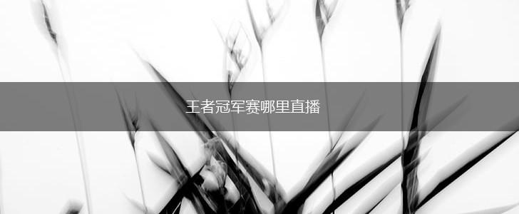 王者冠军赛哪里直播,第1张