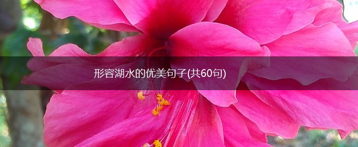 形容湖水的优美句子(共60句),第1张