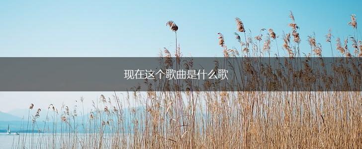 现在这个歌曲是什么歌,第1张