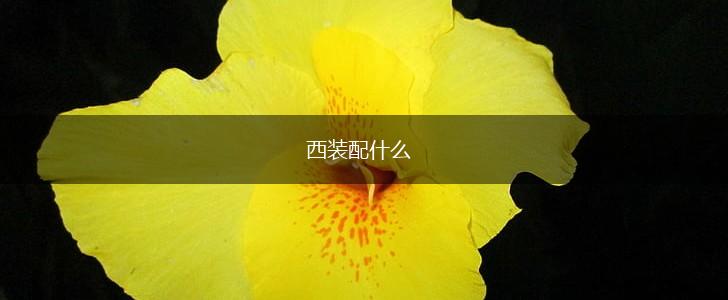 西装配什么,第1张