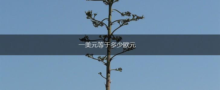 一美元等于多少欧元,第1张