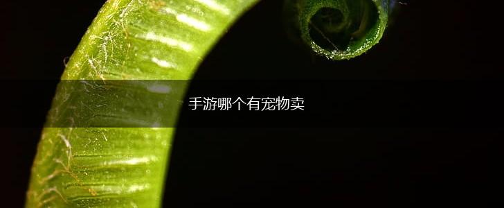 手游哪个有宠物卖,第1张