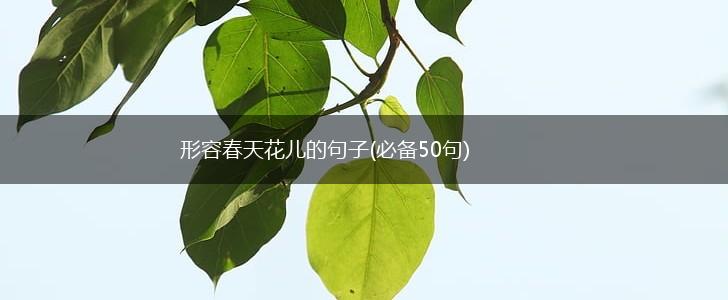 形容春天花儿的句子(必备50句),第1张