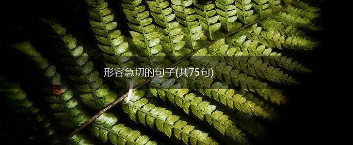 形容急切的句子(共75句),第1张