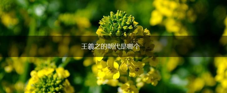 王羲之的朝代是哪个,第1张