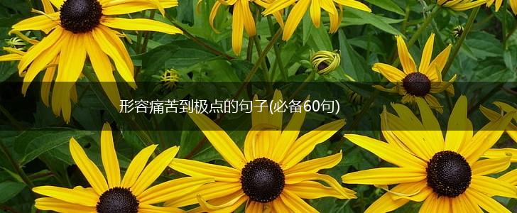 形容痛苦到极点的句子(必备60句),第1张