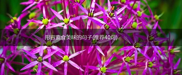 形容素食美味的句子(推荐40句),第1张