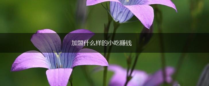 加盟什么样的小吃赚钱,第1张