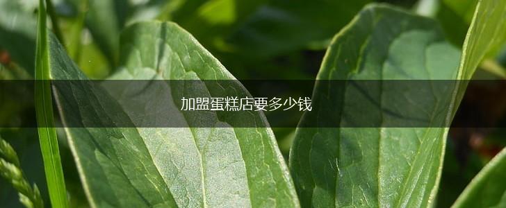 加盟蛋糕店要多少钱,第1张