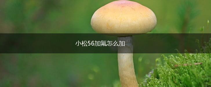 小松56加氟怎么加,第1张
