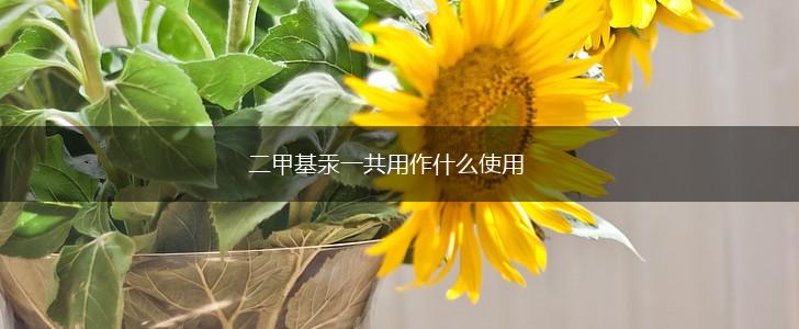 二甲基汞一共用作什么使用,第1张