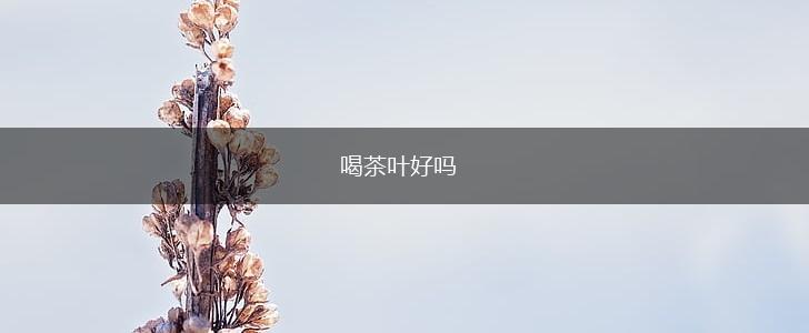喝茶叶好吗,第1张