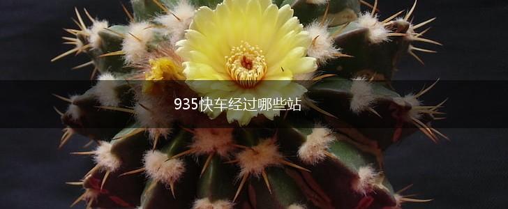 935快车经过哪些站,第1张