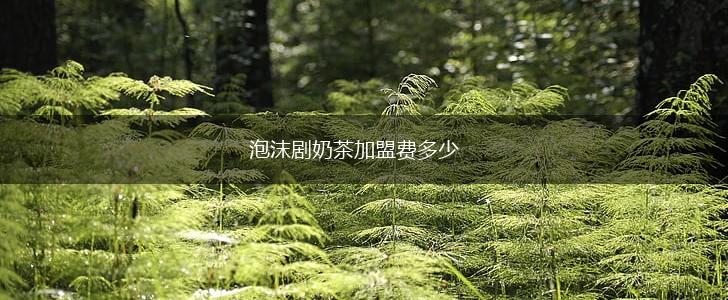 泡沫剧奶茶加盟费多少,第1张