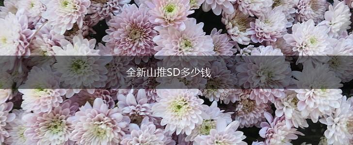 全新山推SD多少钱,第1张