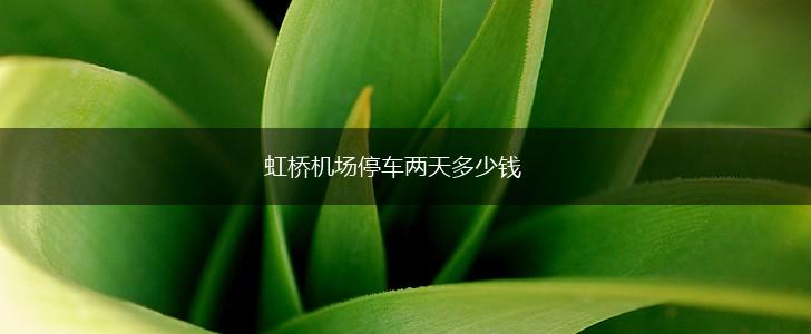 虹桥机场停车两天多少钱,第1张