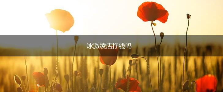 冰激凌店挣钱吗,第1张