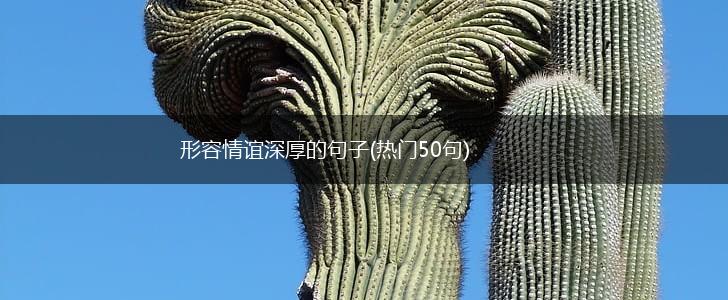 形容情谊深厚的句子(热门50句),第1张