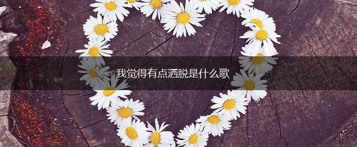 我觉得有点洒脱是什么歌,第1张