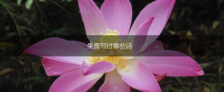 朱熹写过哪些诗,第1张