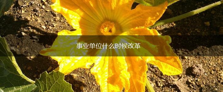 事业单位什么时候改革,第1张