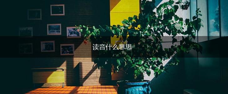 读音什么意思,第1张