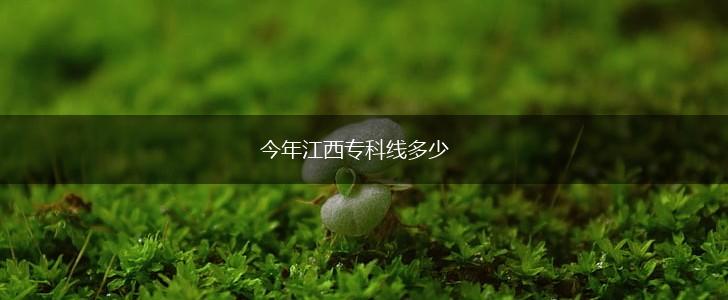 今年江西专科线多少,第1张