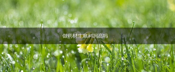 做药材生意利润高吗,第1张