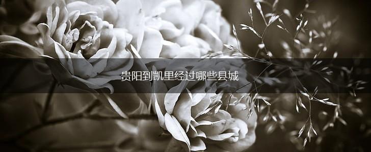 贵阳到凯里经过哪些县城,第1张