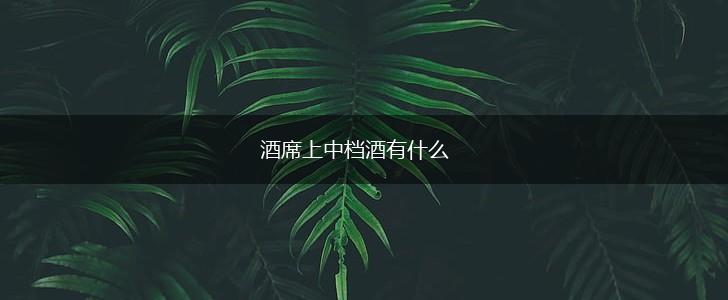 酒席上中档酒有什么,第1张