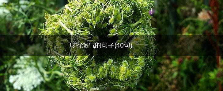 形容淘气的句子(40句),第1张