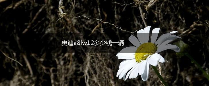 奥迪a8lw12多少钱一辆,第1张