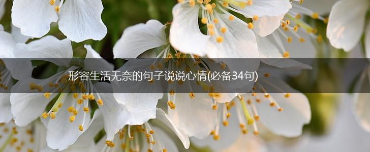 形容生活无奈的句子说说心情(必备34句),第1张