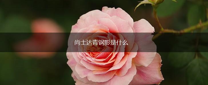 尚士达青钢影是什么,第1张